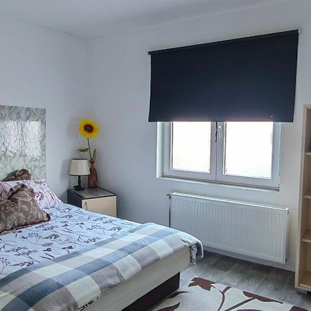 Divlji Raj Apartment เบลเกรด ภายนอก รูปภาพ