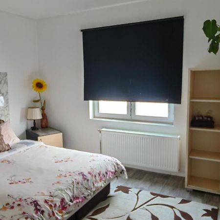 Divlji Raj Apartment เบลเกรด ภายนอก รูปภาพ